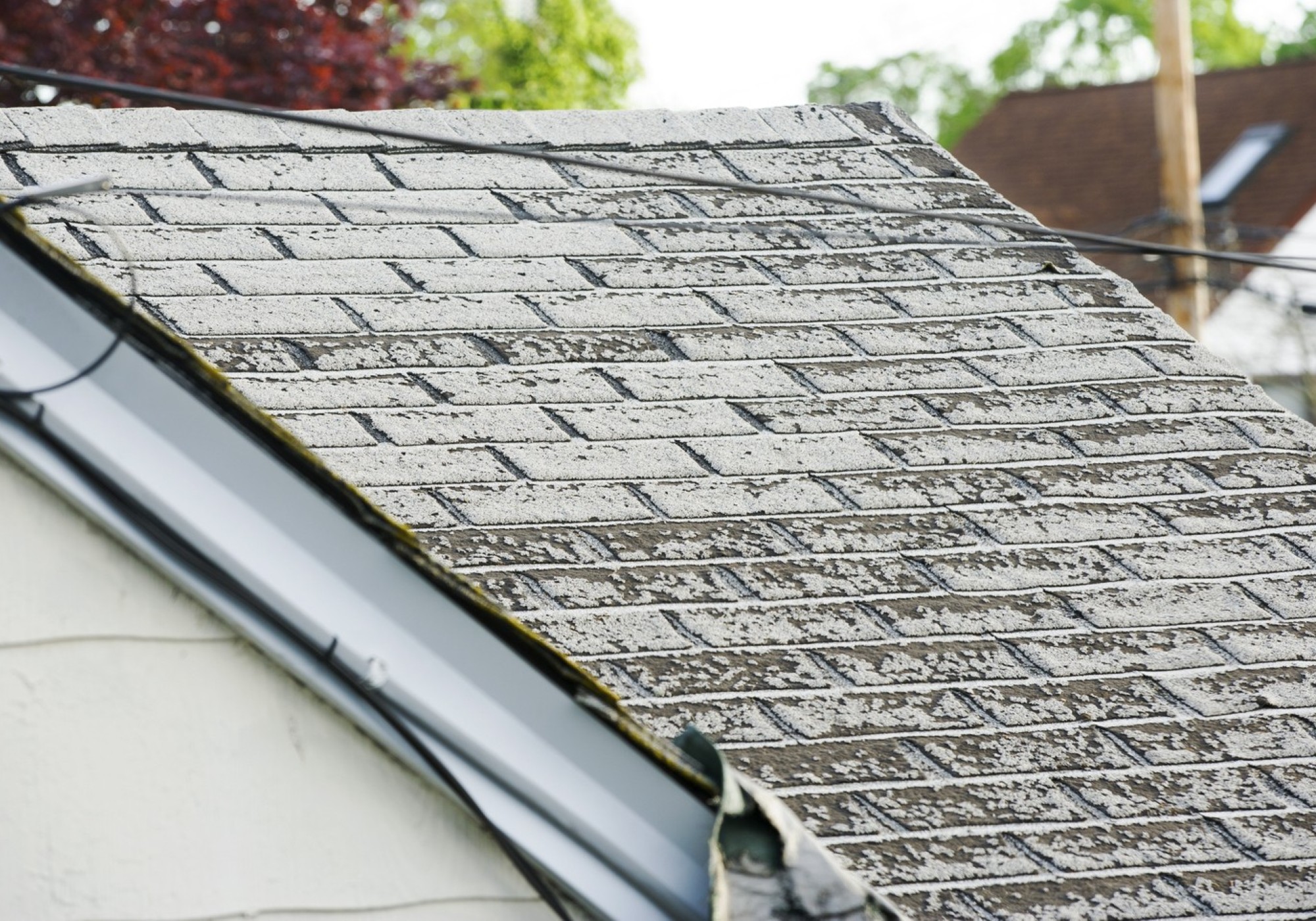 Sloped roof with mossy shingles